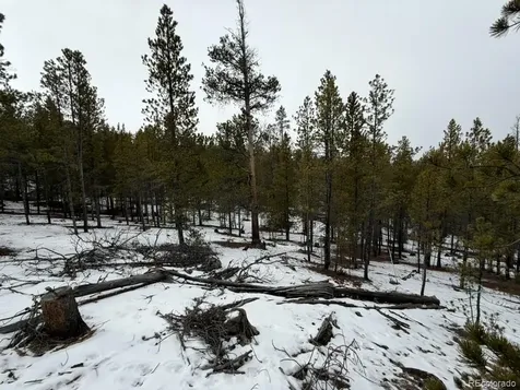 124 Lodgepole Drive Twin Lakes CO 81251