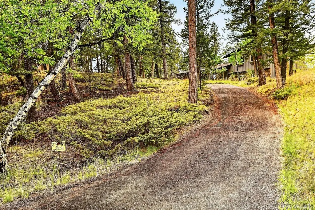 28221 Bonanza Drive Evergreen CO 80439