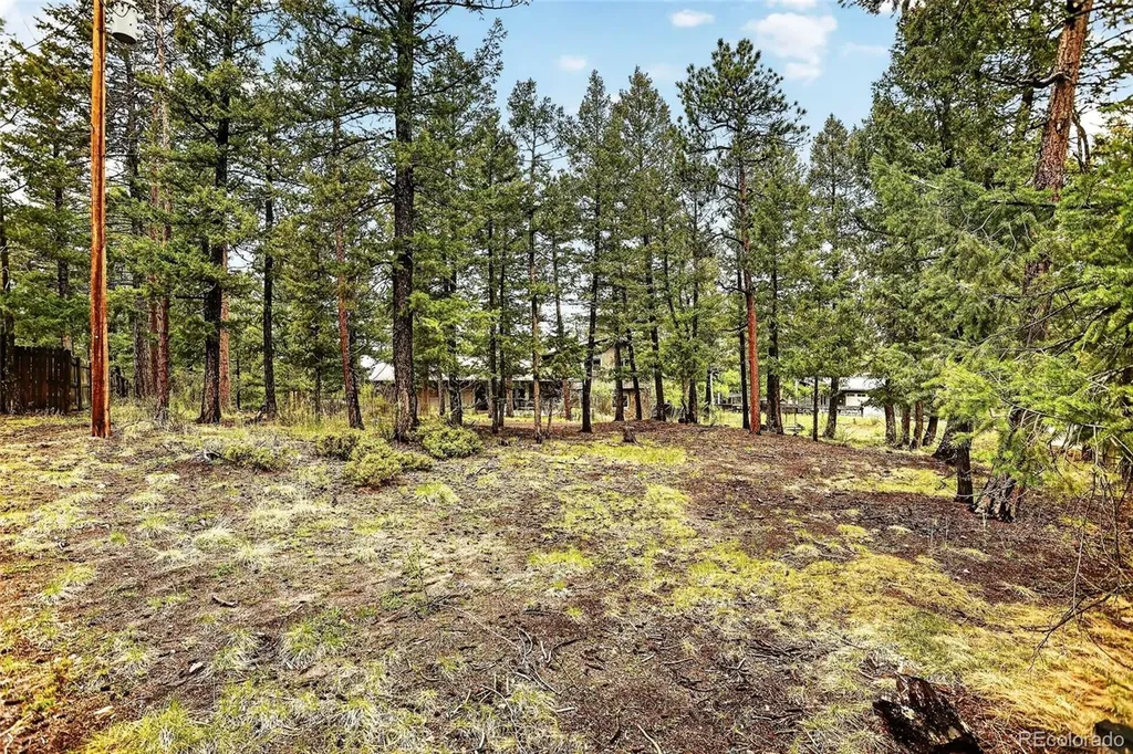 28221 Bonanza Drive Evergreen CO 80439