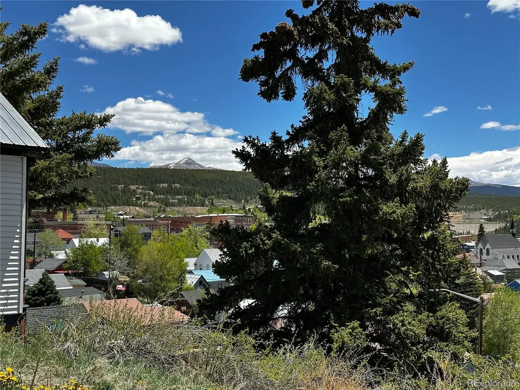 304 W 7th Street Leadville CO 80461