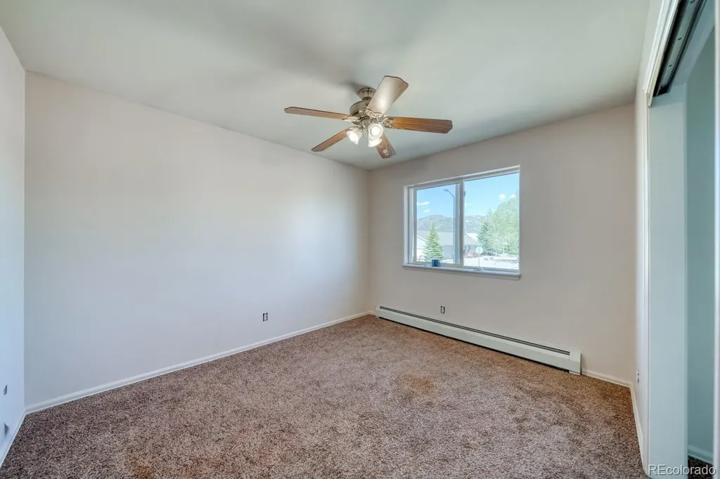 180 Larissa Lane Buena Vista CO 81211