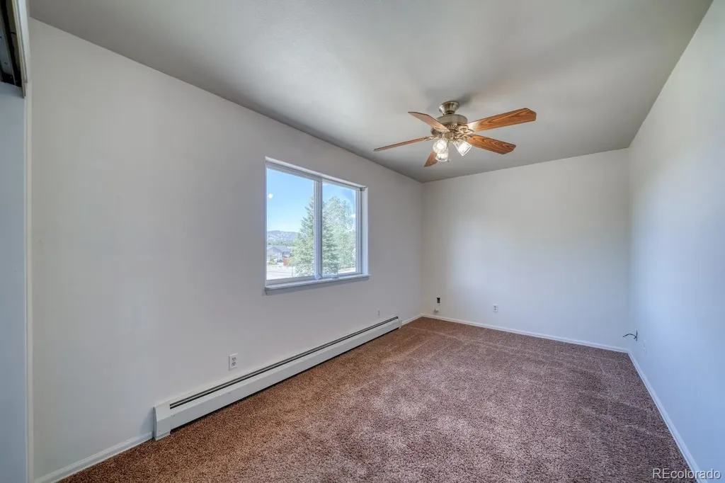 180 Larissa Lane Buena Vista CO 81211