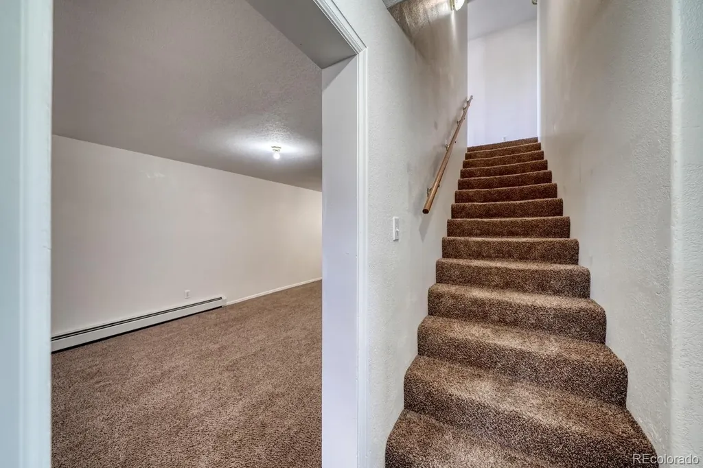 180 Larissa Lane Buena Vista CO 81211