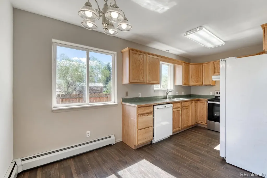 180 Larissa Lane Buena Vista CO 81211