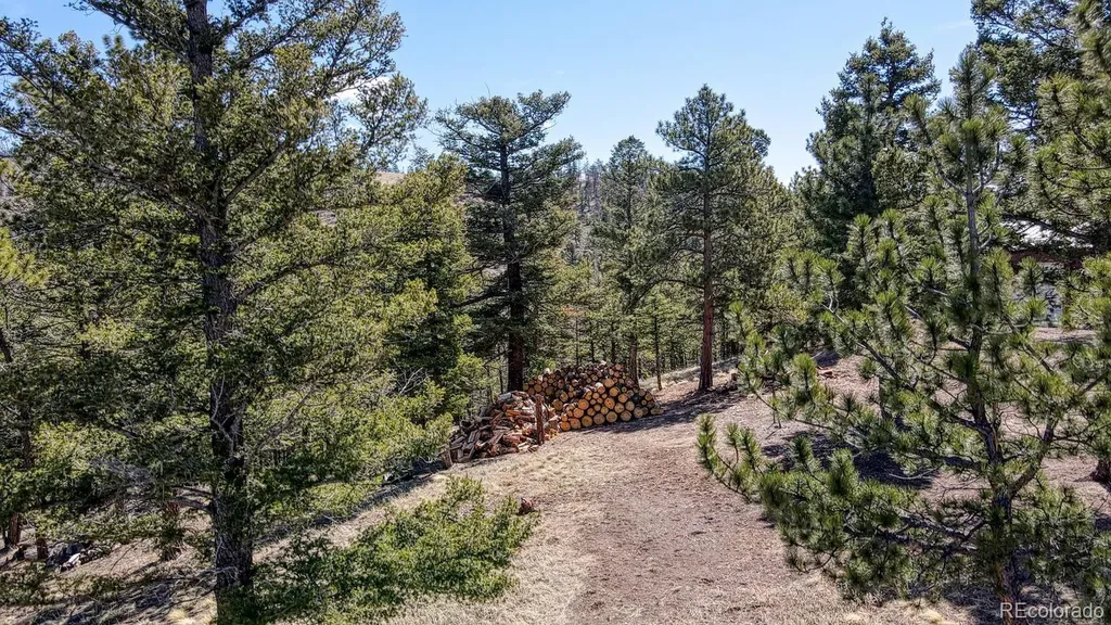 1041 County Road 200 Poncha Springs CO 81242