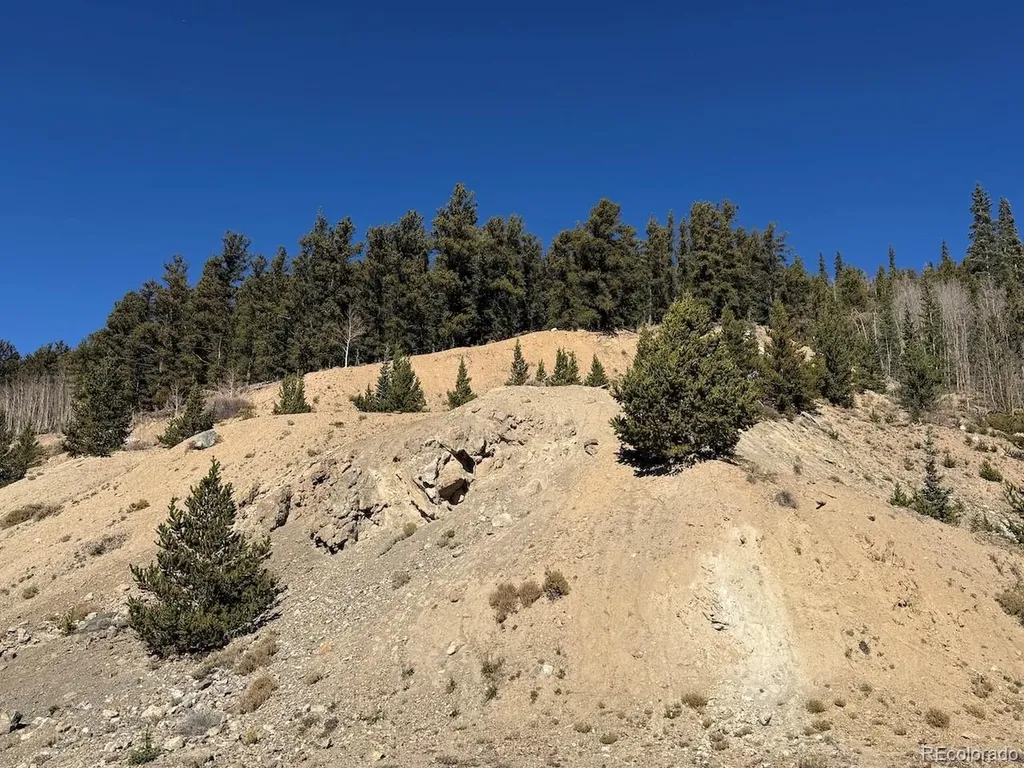 0 County Road 787 Alma CO 80420
