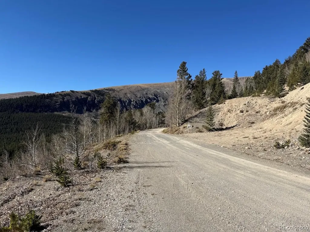 0 County Road 787 Alma CO 80420