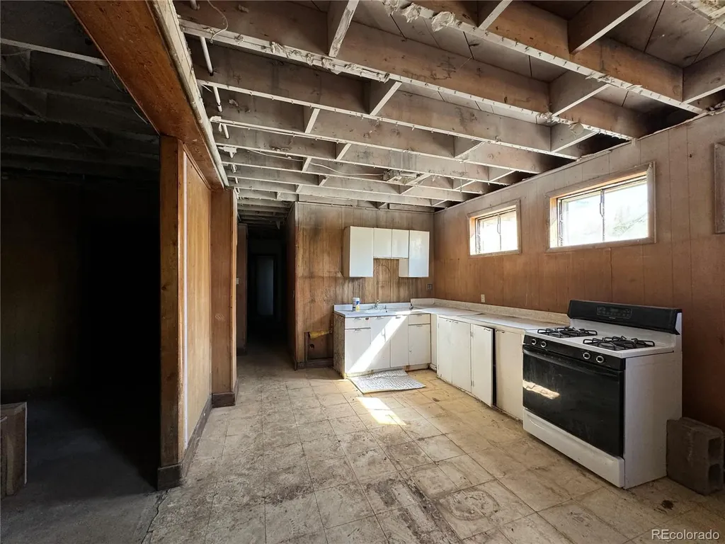 8361 Bank Placer Leadville CO 80461