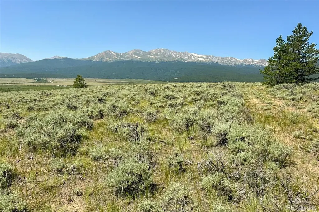 8361 Bank Placer Leadville CO 80461
