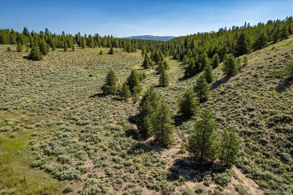 8361 Bank Placer Leadville CO 80461