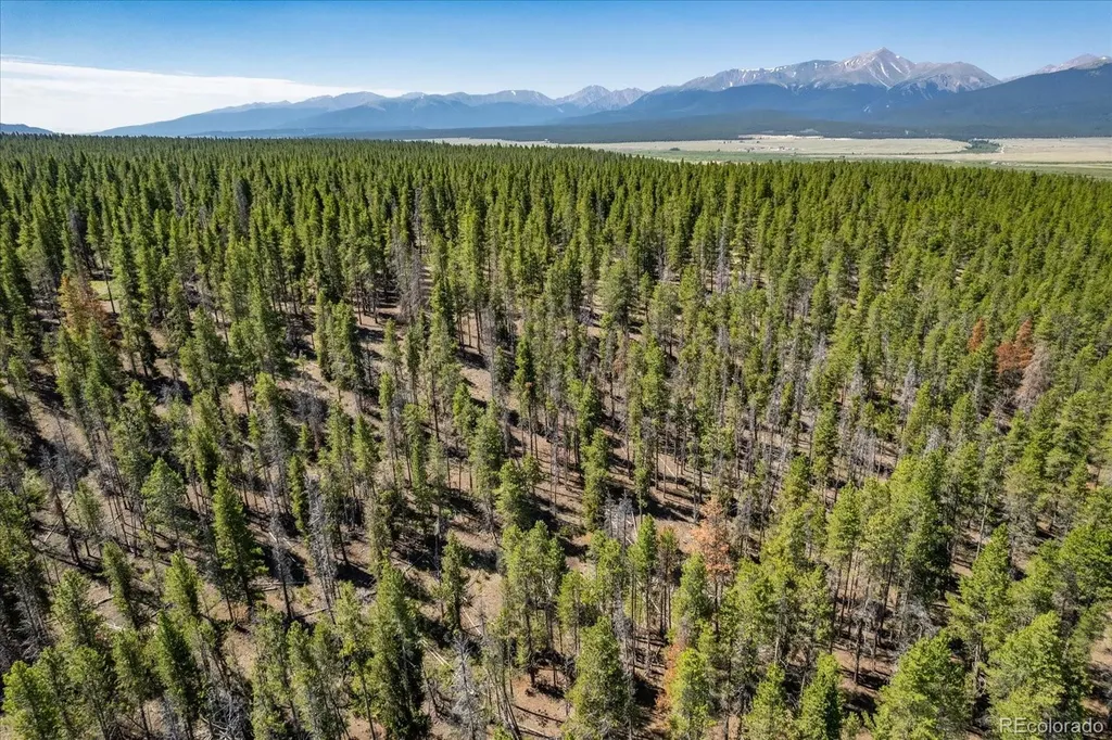 8361 Bank Placer Leadville CO 80461