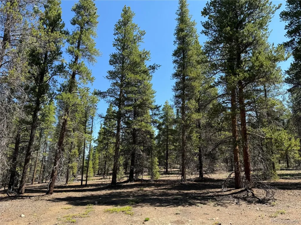 8361 Bank Placer Leadville CO 80461