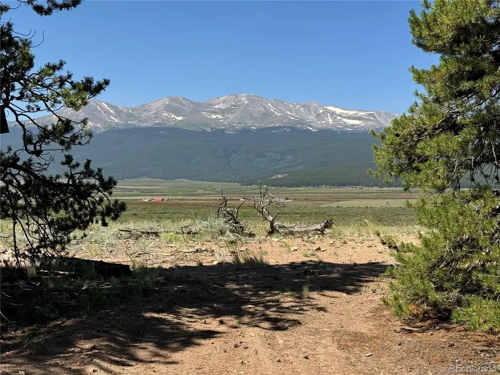 8361 Bank Placer Leadville CO 80461