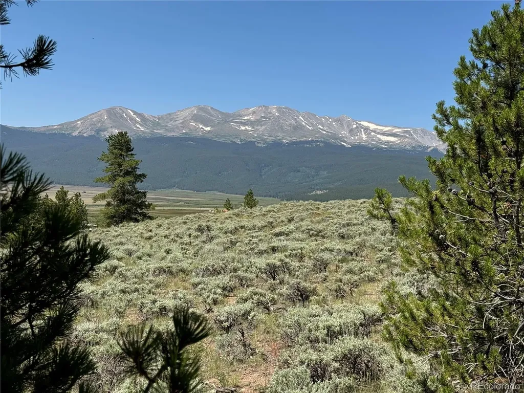 8361 Bank Placer Leadville CO 80461
