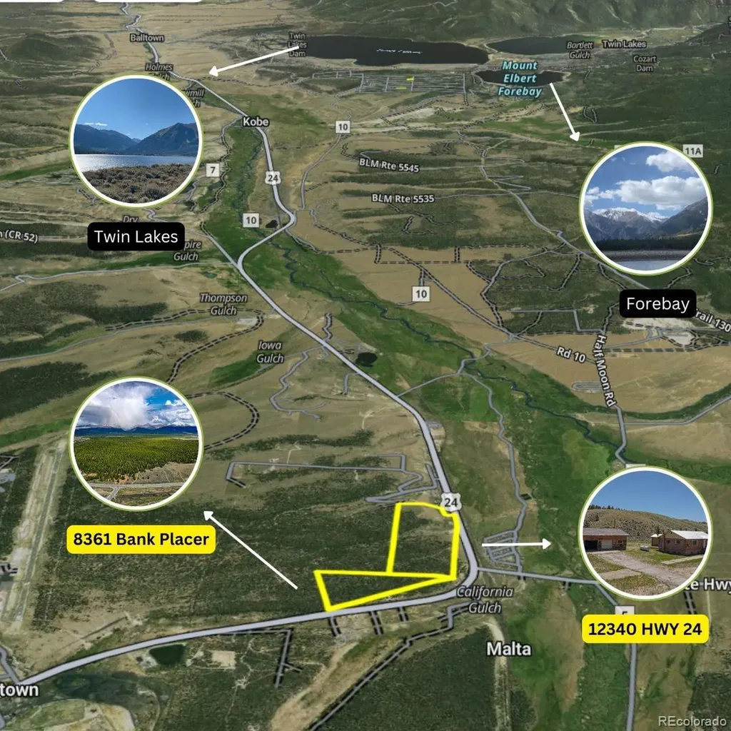 8361 Bank Placer Leadville CO 80461