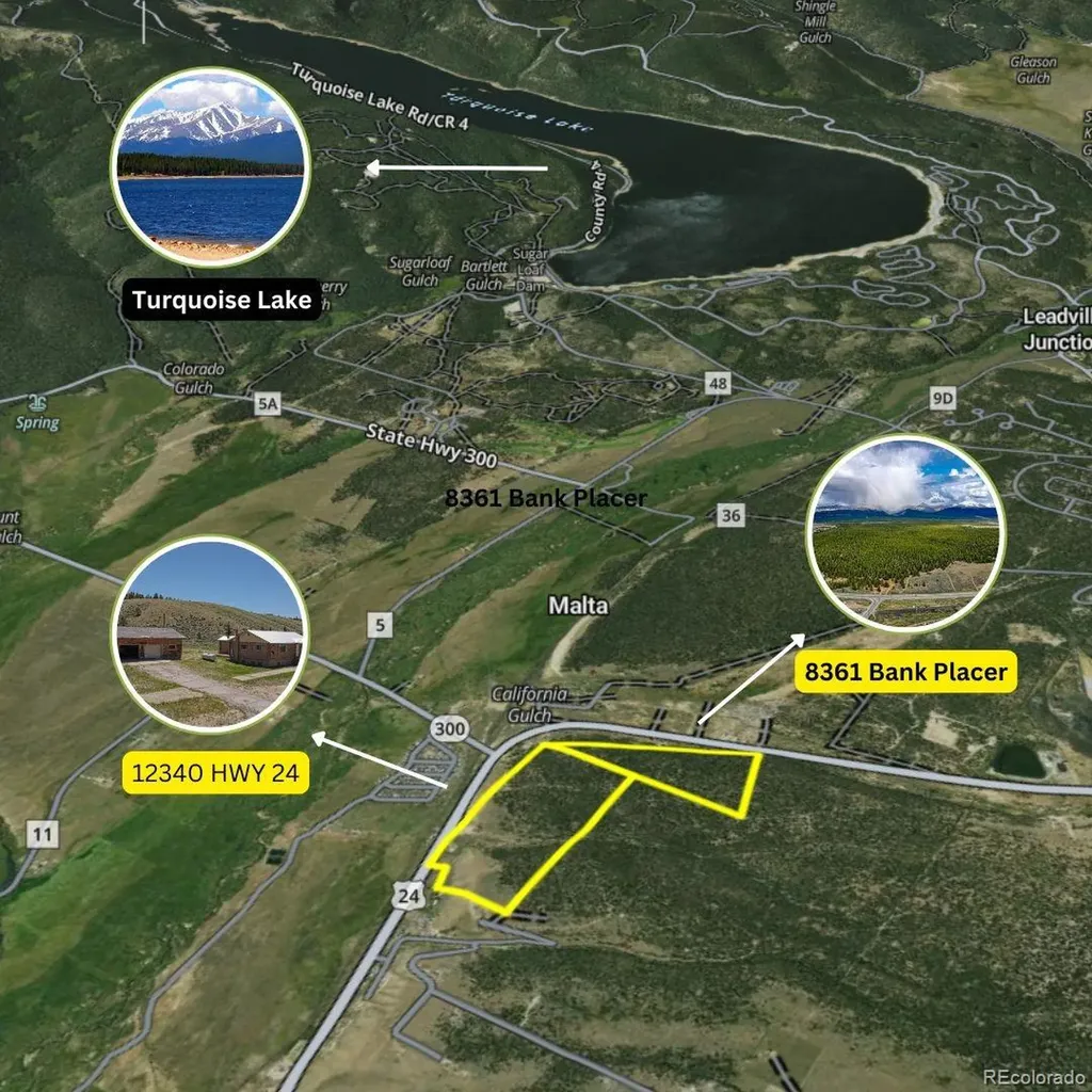 8361 Bank Placer Leadville CO 80461