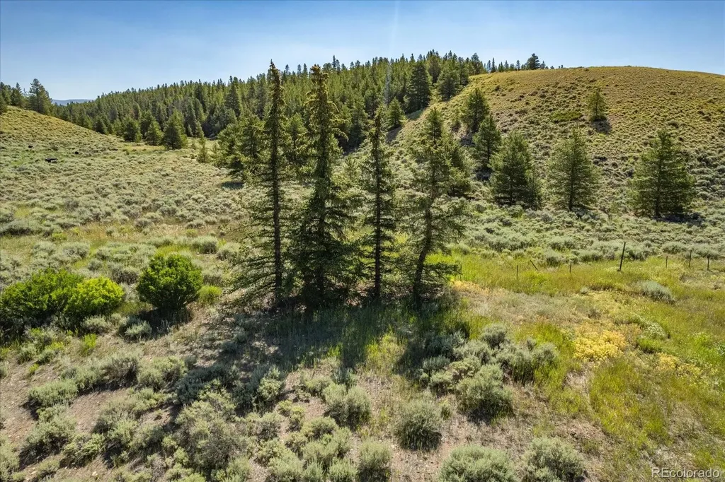 8361 Bank Placer Leadville CO 80461