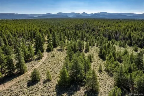 8361 Bank Placer Leadville CO 80461