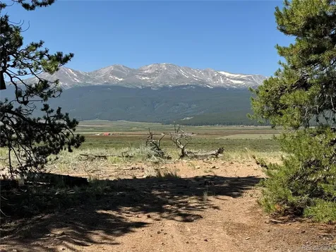 8361 Bank Placer Leadville CO 80461
