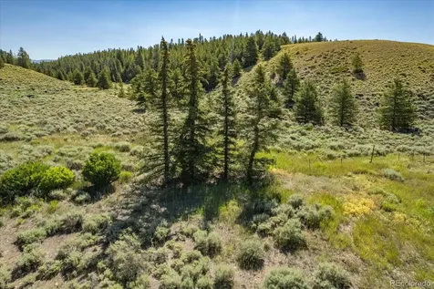 8361 Bank Placer Leadville CO 80461