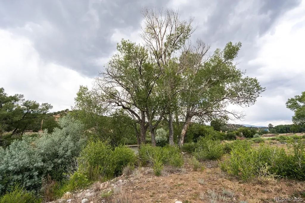 24283 River Rock Lane Buena Vista CO 81211