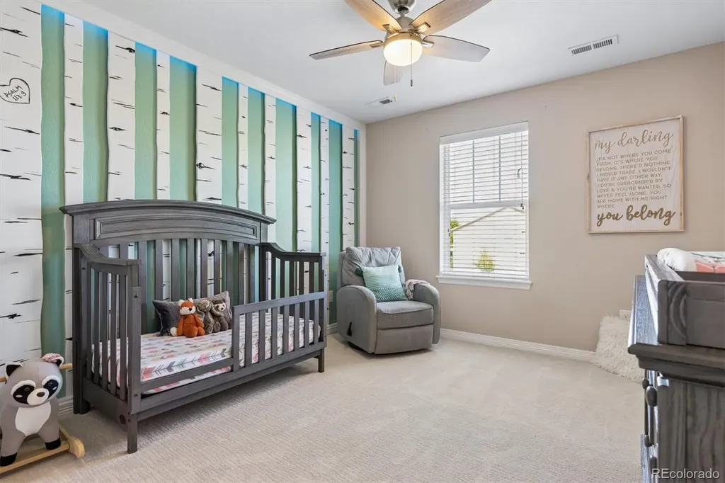 11873 Phoebe Street Parker CO 80134