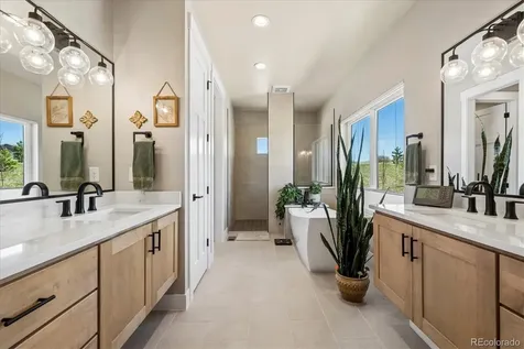 5257 Moonlight Way Parker CO 80134