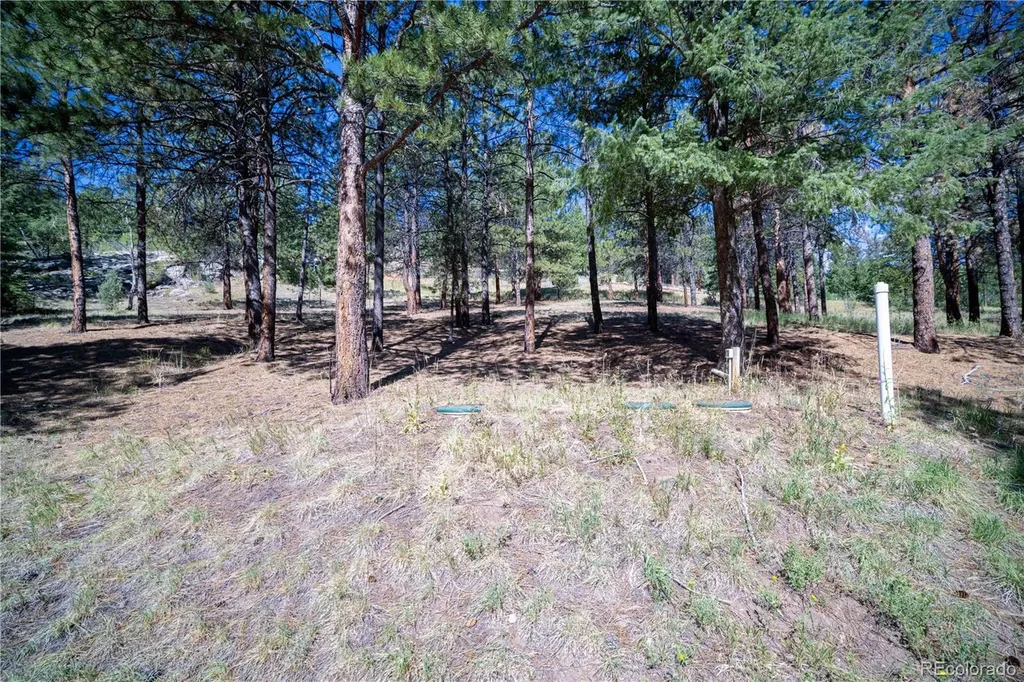 14850 Quandary Peak Road Pine CO 80470