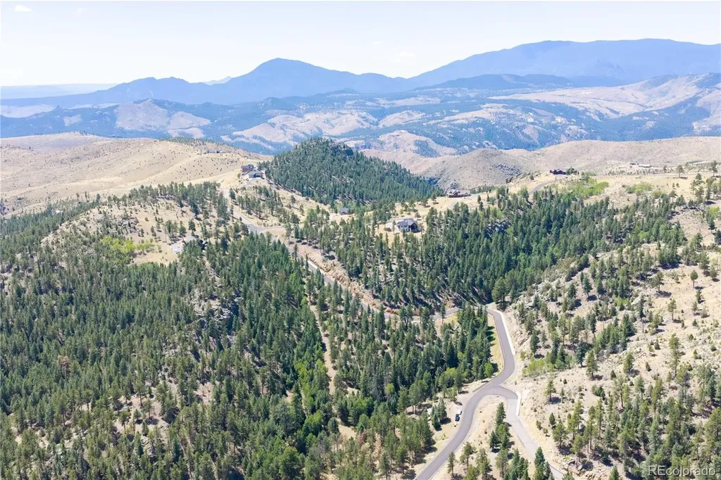 14850 Quandary Peak Road Pine CO 80470