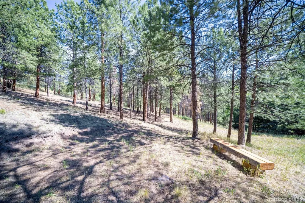 14850 Quandary Peak Road Pine CO 80470