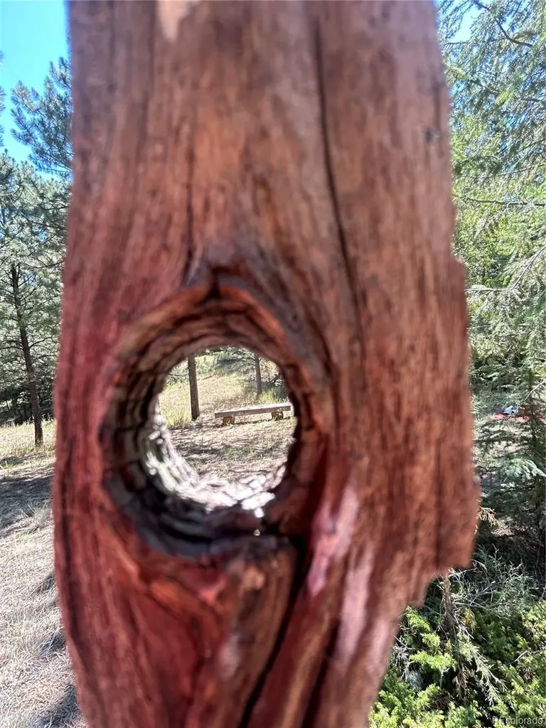 14850 Quandary Peak Road Pine CO 80470