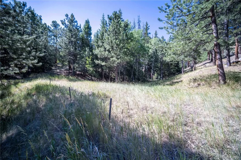 14850 Quandary Peak Road Pine CO 80470