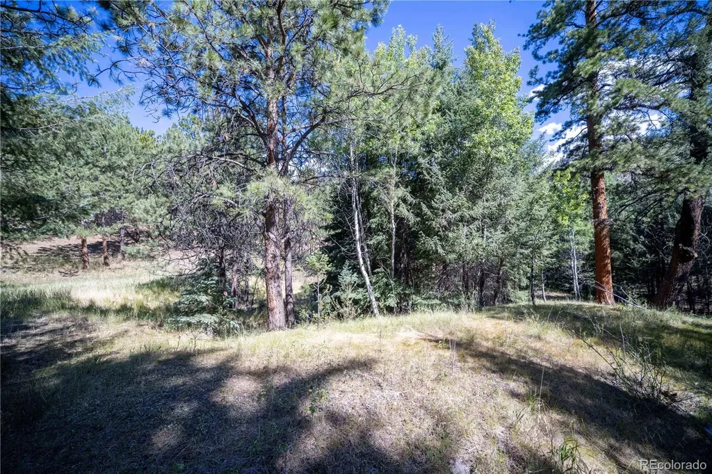 14850 Quandary Peak Road Pine CO 80470