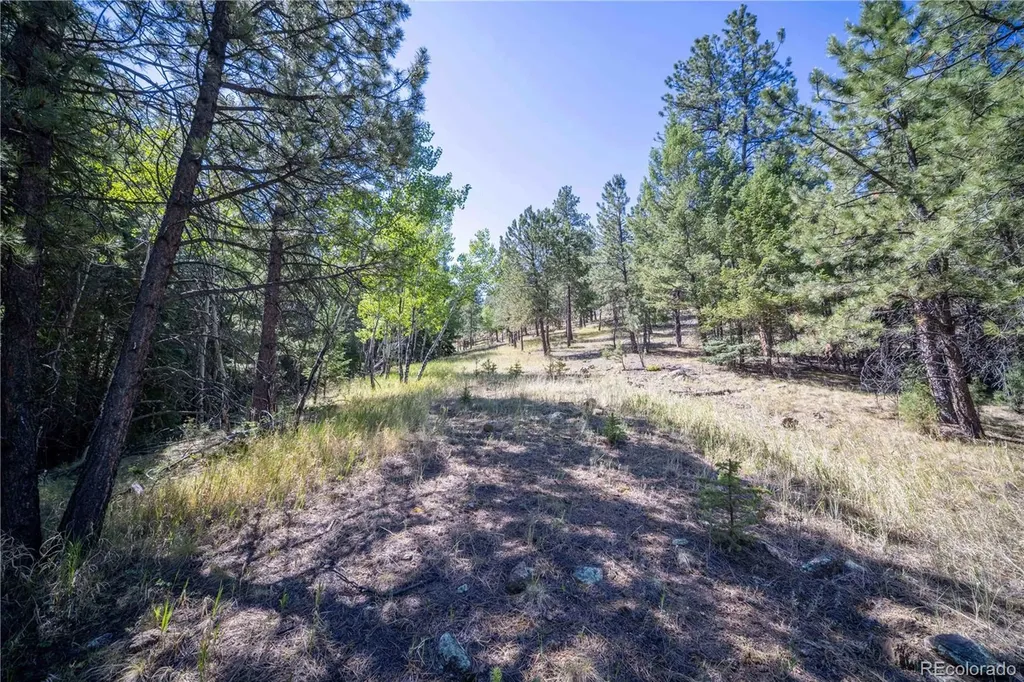 14850 Quandary Peak Road Pine CO 80470