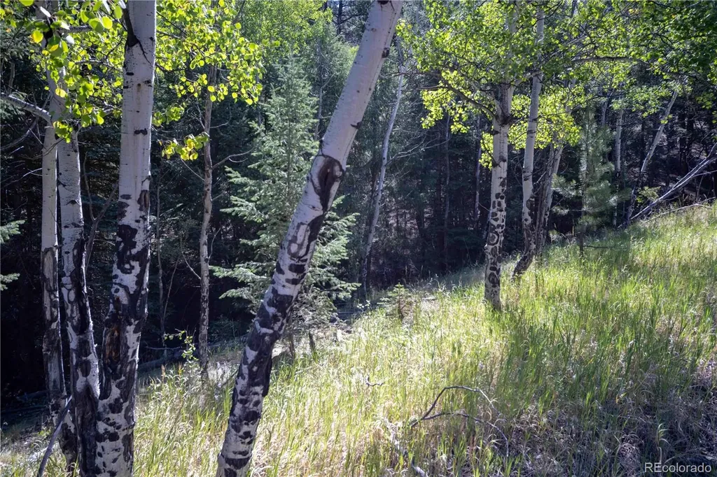 14850 Quandary Peak Road Pine CO 80470