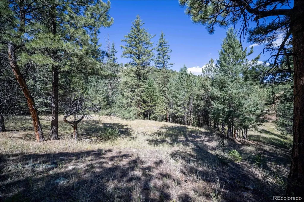 14850 Quandary Peak Road Pine CO 80470