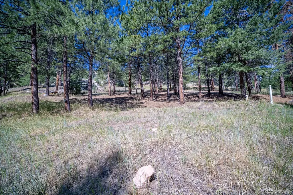 14850 Quandary Peak Road Pine CO 80470