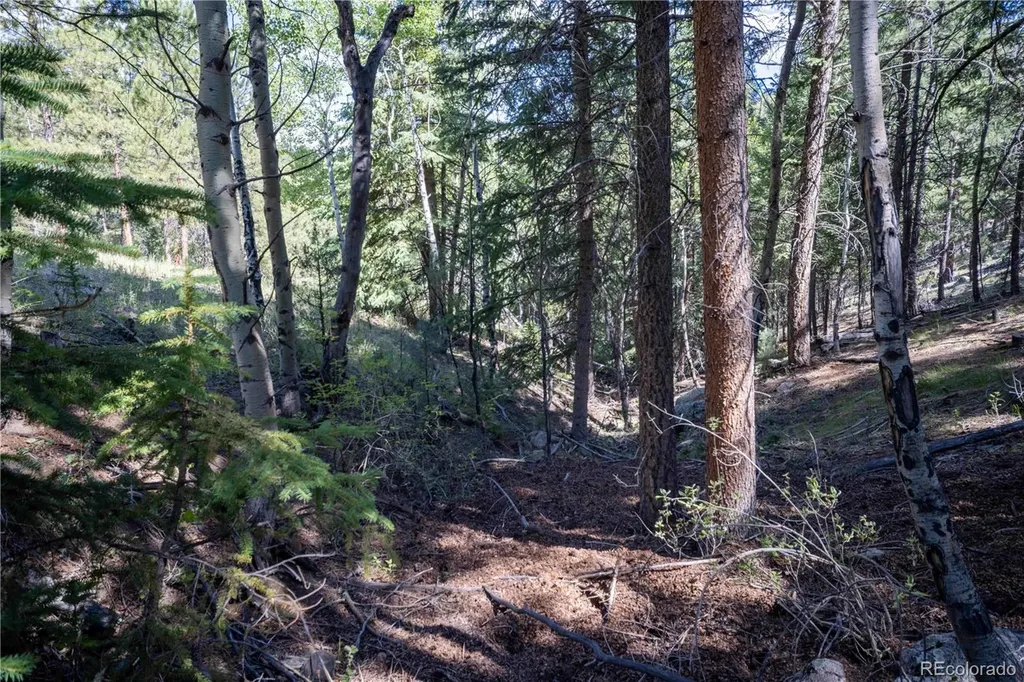 14850 Quandary Peak Road Pine CO 80470