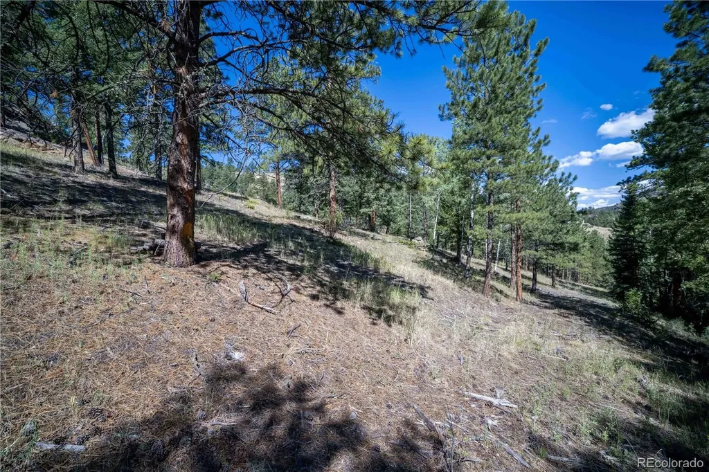 14850 Quandary Peak Road Pine CO 80470