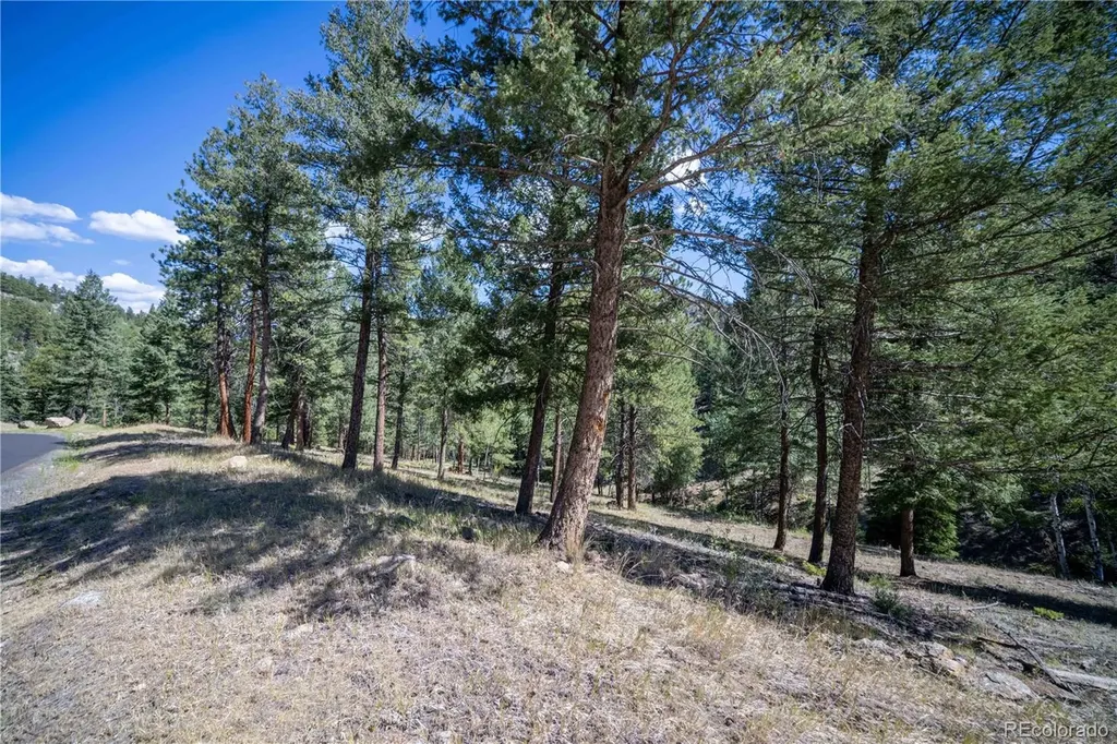 14850 Quandary Peak Road Pine CO 80470
