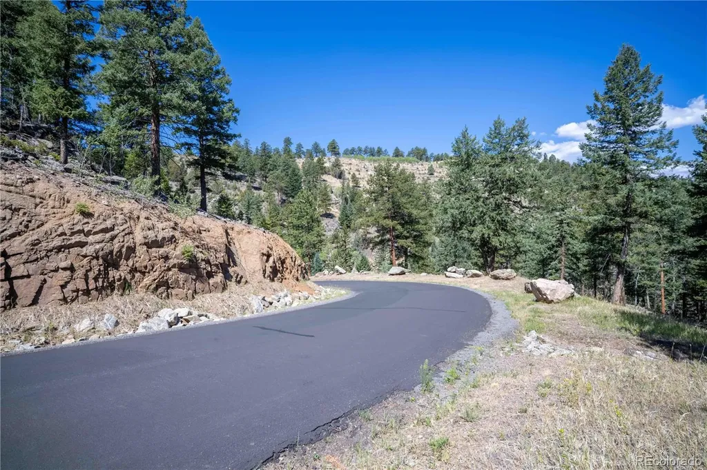 14850 Quandary Peak Road Pine CO 80470