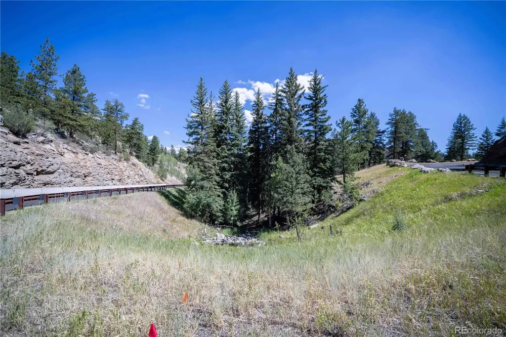 14850 Quandary Peak Road Pine CO 80470