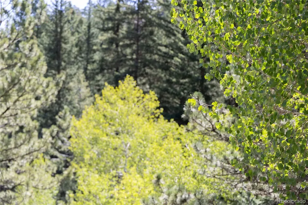 14850 Quandary Peak Road Pine CO 80470