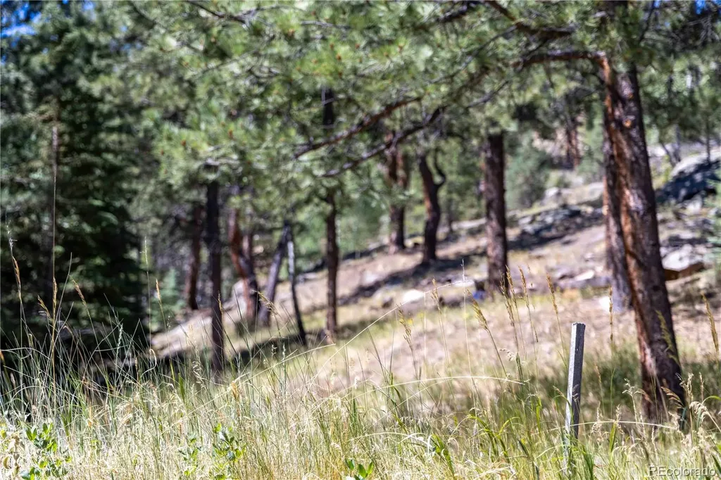 14850 Quandary Peak Road Pine CO 80470
