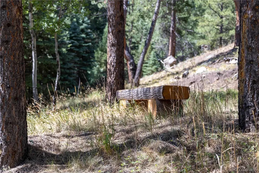 14850 Quandary Peak Road Pine CO 80470