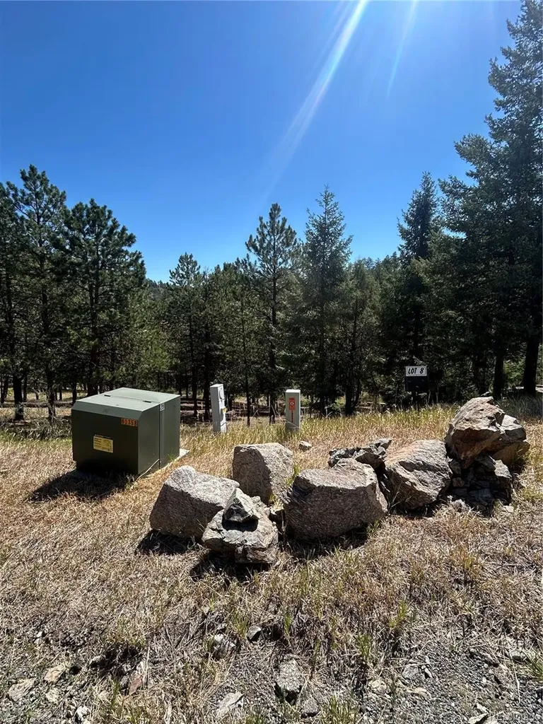 14850 Quandary Peak Road Pine CO 80470