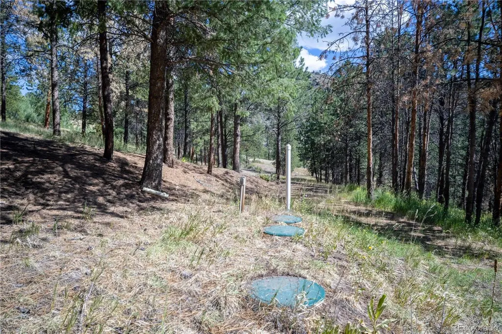 14850 Quandary Peak Road Pine CO 80470