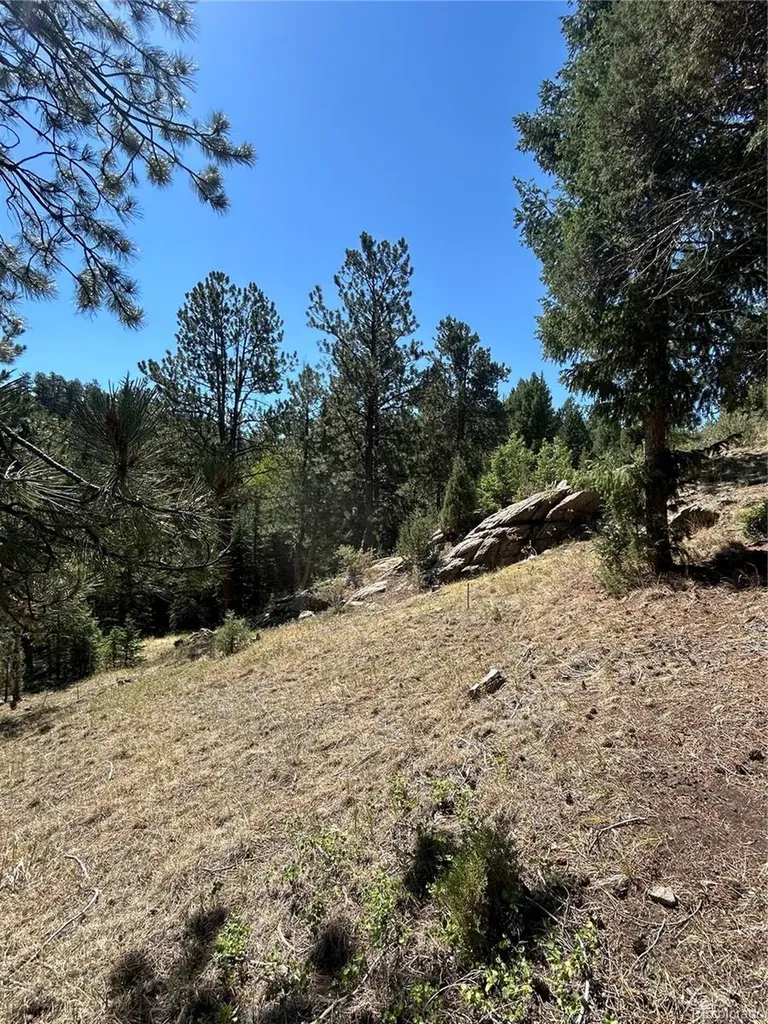 14850 Quandary Peak Road Pine CO 80470
