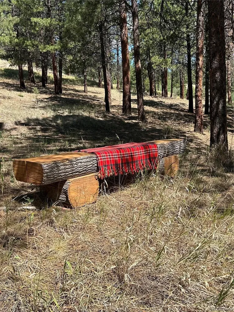 14850 Quandary Peak Road Pine CO 80470