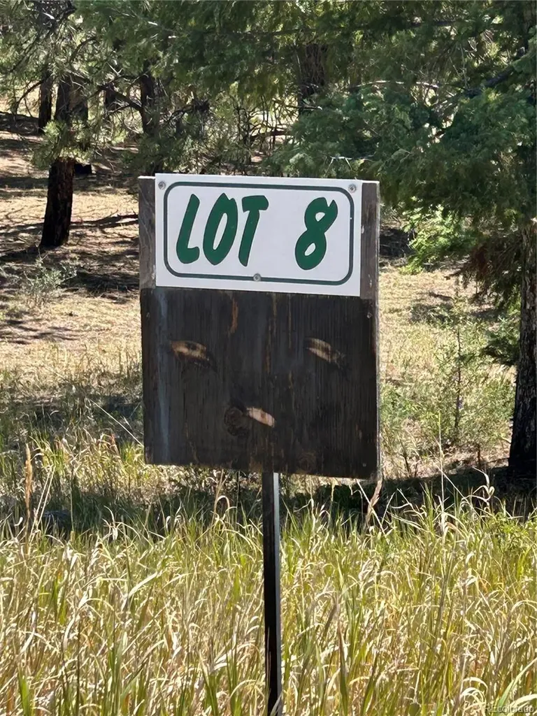 14850 Quandary Peak Road Pine CO 80470